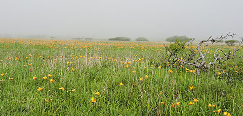 f0083977_13493555.jpg