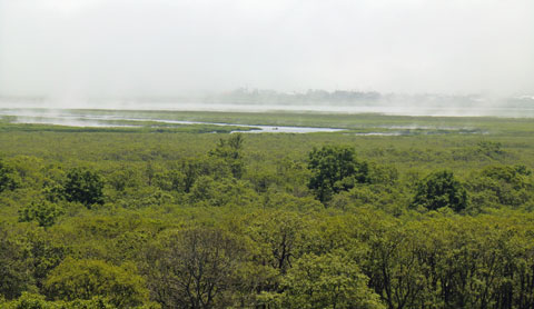 f0083977_13535055.jpg