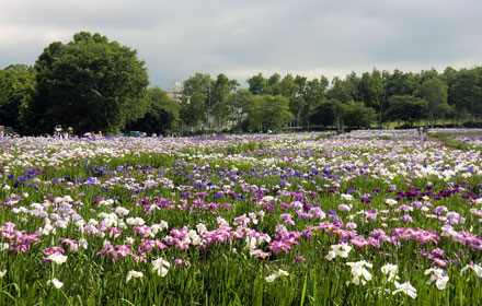 f0083977_1554488.jpg