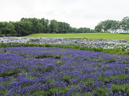f0083977_15571022.jpg