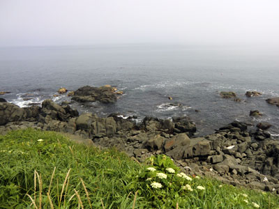 f0083977_6535877.jpg