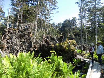 f0083977_6585685.jpg