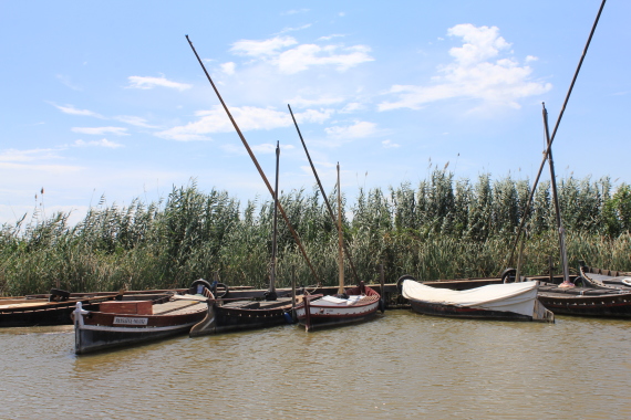 d0084580_14335520.jpg