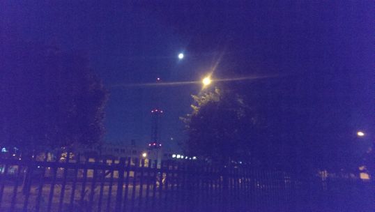 e0020682_2016156.jpg