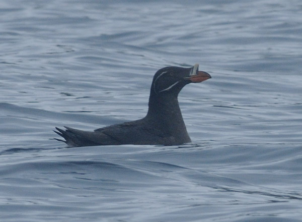f0159390_92162.jpg