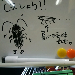 そわそわ。_a0045293_14515188.jpg