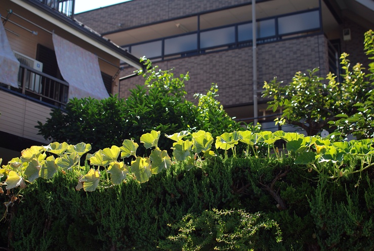 b0168993_9211667.jpg