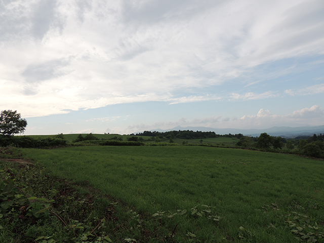 北海道_e0168701_1918191.jpg