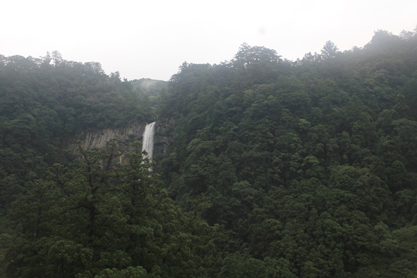 那智の滝　＆　橋杭岩　庭の花♪_a0123003_983316.jpg