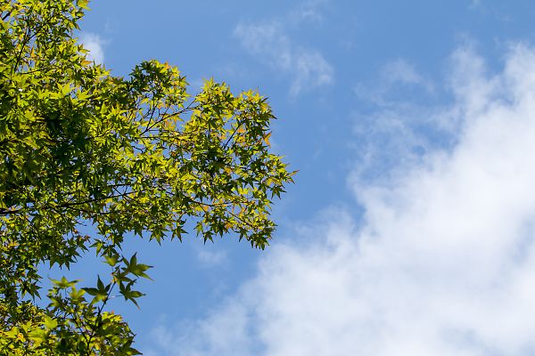 e0193503_96082.jpg