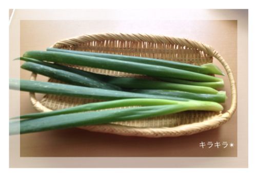 干し野菜でお料理_f0354014_21494522.jpg