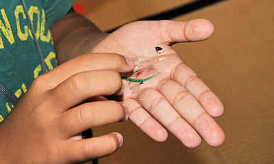 a0144016_11571367.jpg