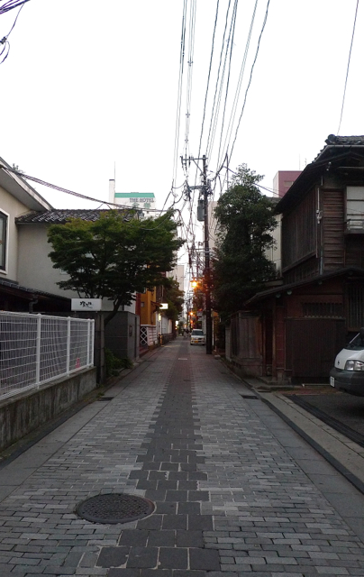 〆張鶴に酔う新潟の夜　翌朝緑のカモノハシで那須塩原へ_e0157816_16092047.jpg