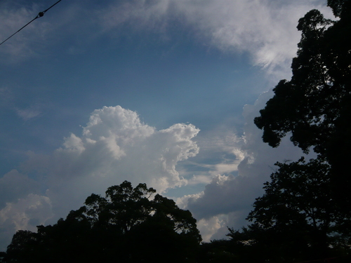 a0238019_12522067.jpg