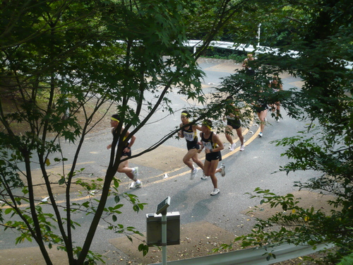 a0238019_1255963.jpg