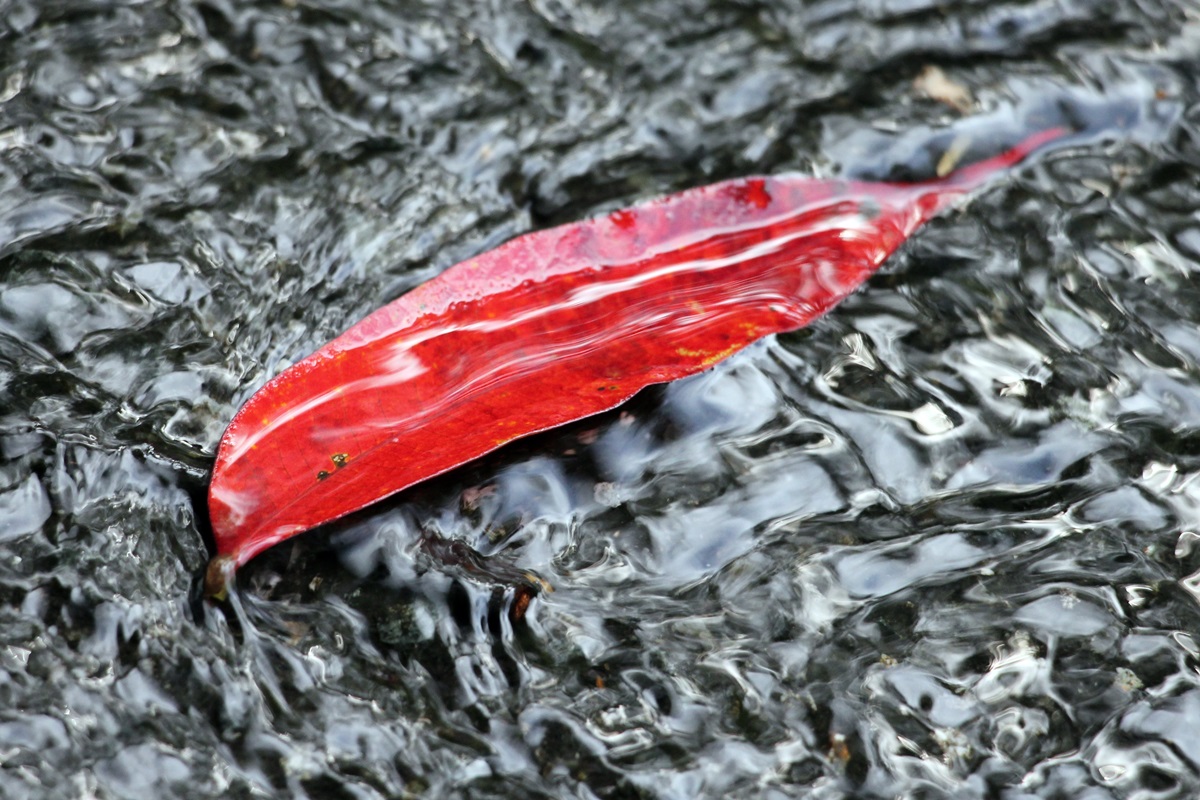 f0310221_12342560.jpg