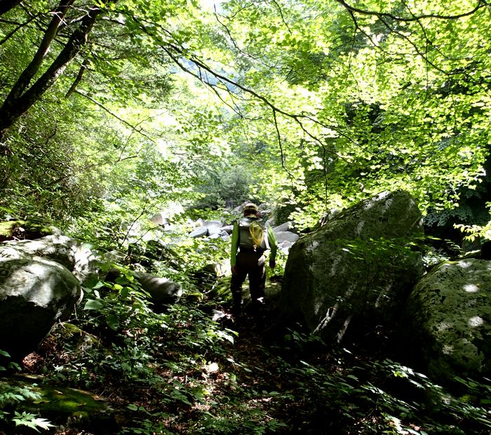 f0188724_21423438.jpg