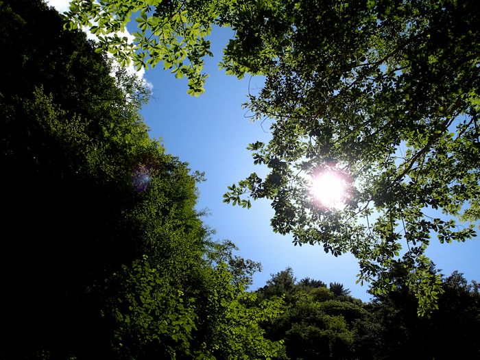f0188724_2282939.jpg