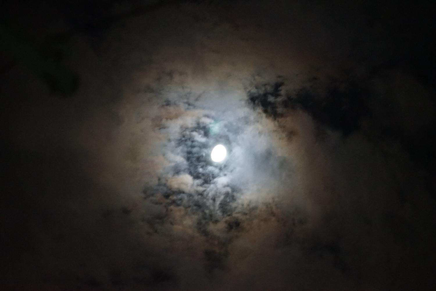 b0069128_93694.jpg