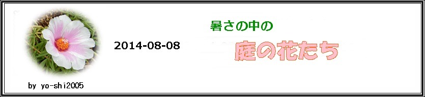 e0033229_2033197.jpg