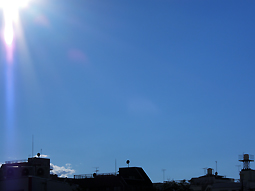 おしなもの　更新のおしらせ_d0221430_1938040.jpg