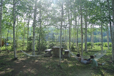b0331937_00463576.jpg