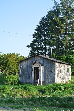 b0331937_00475579.jpg