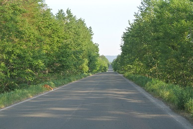 b0331937_00483607.jpg