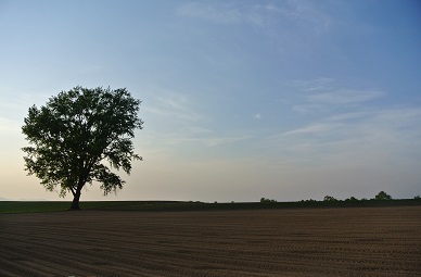 b0331937_00490595.jpg
