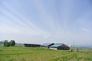 b0331937_00563030.jpg