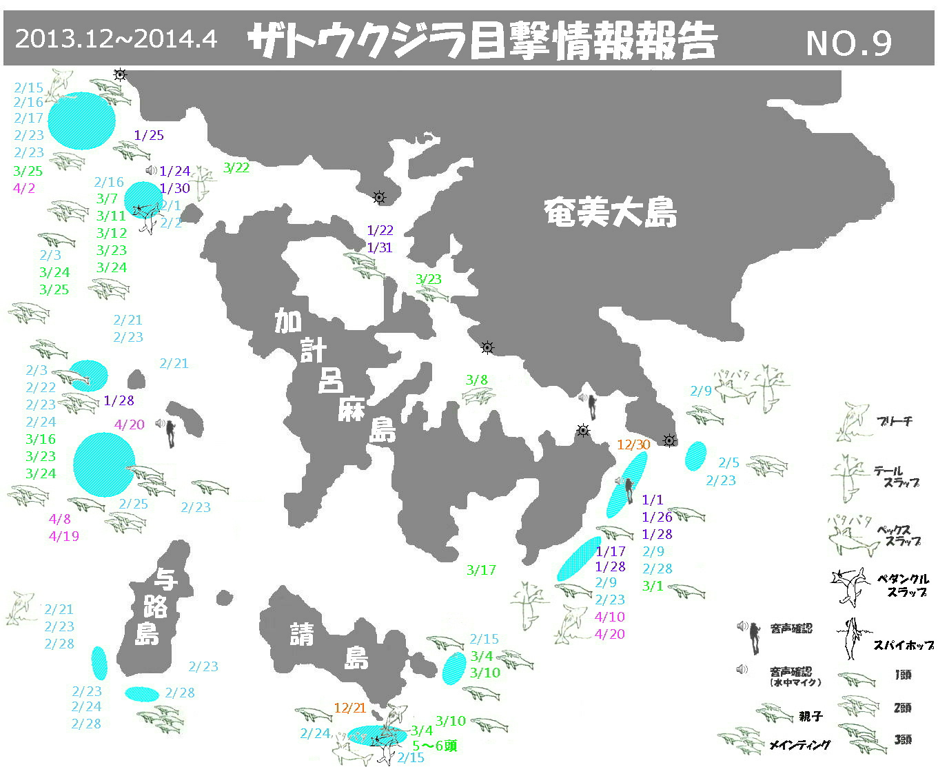 2013~2014クジラ・イルカ目撃情報集計_f0062839_21351827.jpg