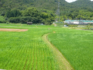 f0131641_00442045.jpg