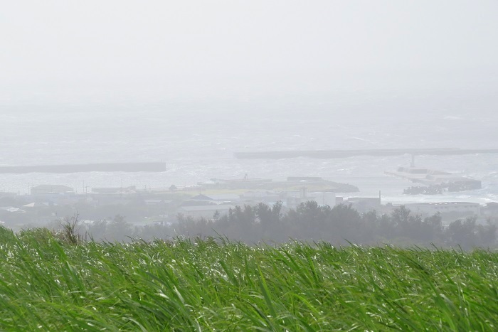 b0288942_8394514.jpg