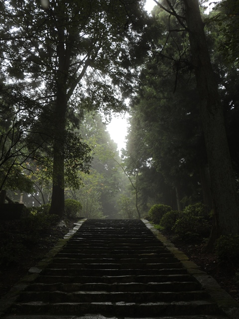 清水寺　（西国第二十五番）_e0017051_737498.jpg