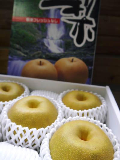 熊本梨 岩永農園 化粧箱入りプレミアム「幸水」 本日初出荷いたしました!!_a0254656_1724217.jpg