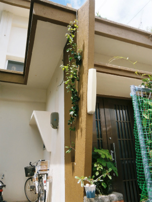 c0180460_13453942.jpg