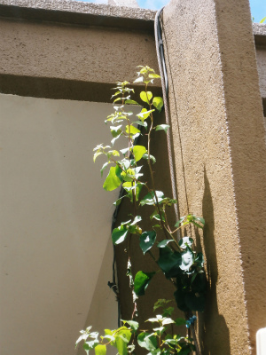 c0180460_13464936.jpg