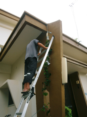 c0180460_13561986.jpg