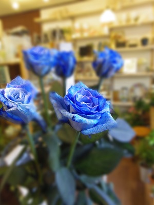 c0198560_16454779.jpg