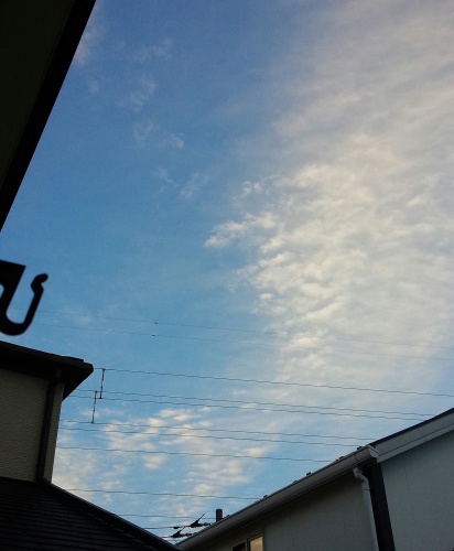 a0304665_05220271.jpg