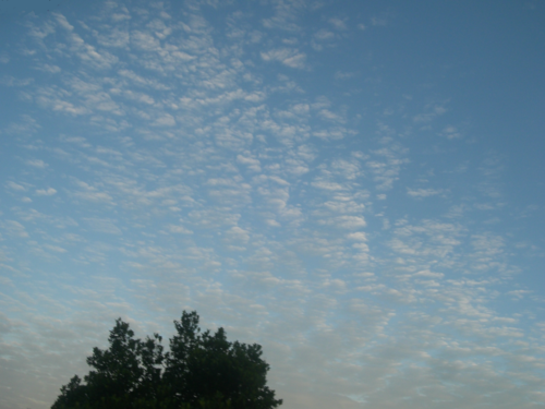 d0130265_10534791.png