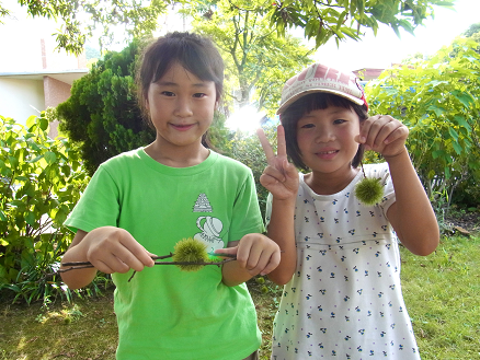 d0238083_1565542.png