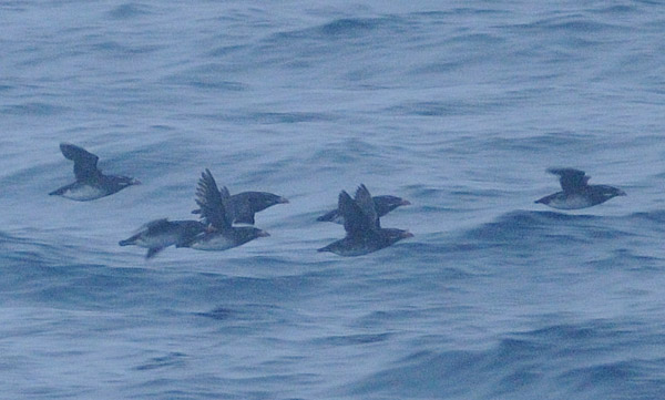 f0159390_9144310.jpg