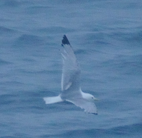 f0159390_9153550.jpg
