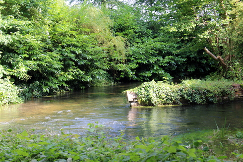 d0099791_942327.jpg
