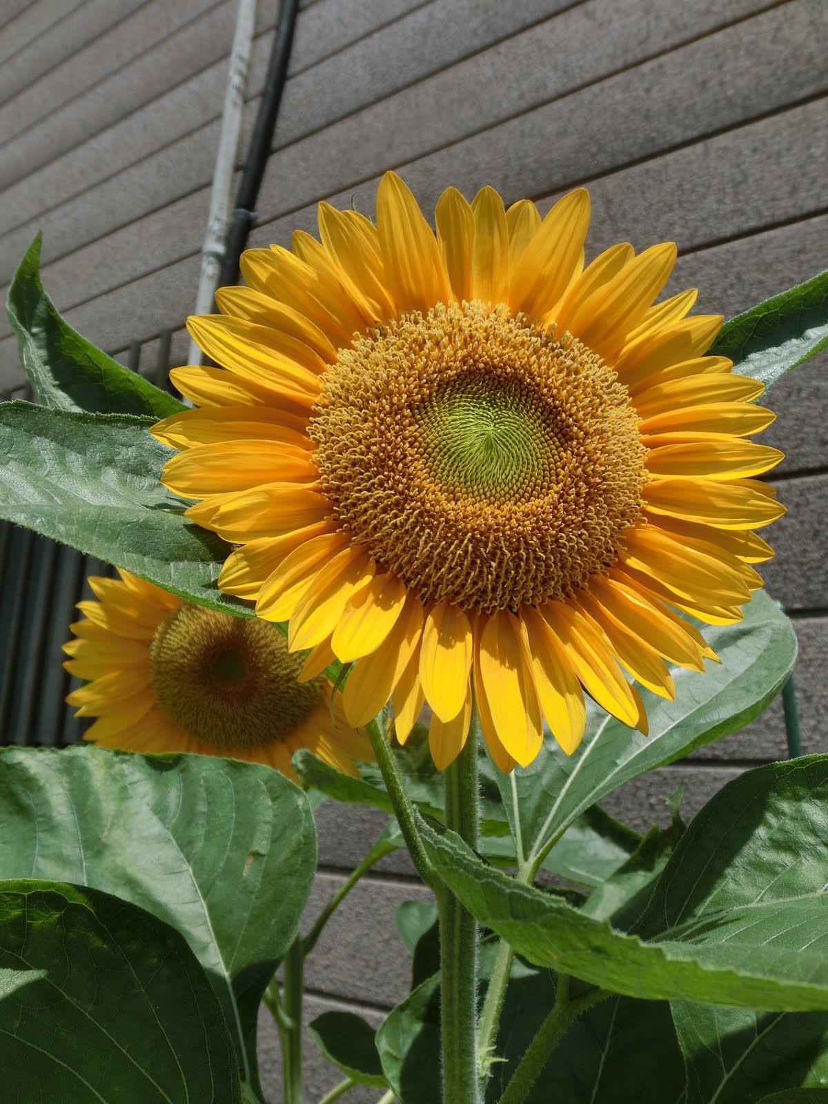 a0277094_22433239.jpg