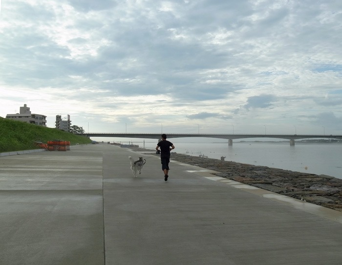 c0049299_20372769.jpg