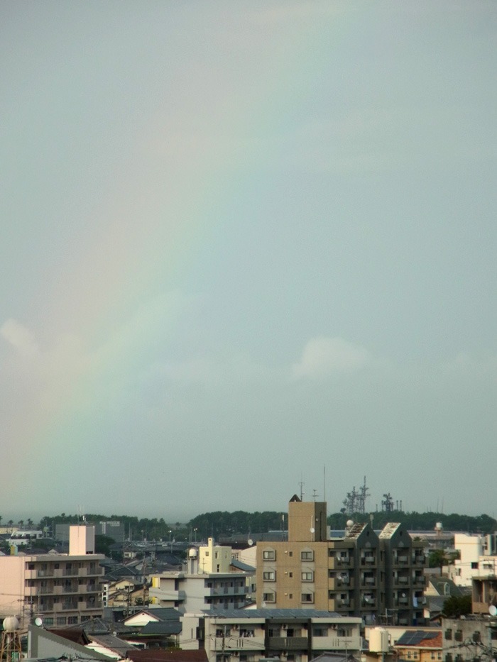c0049299_20383647.jpg