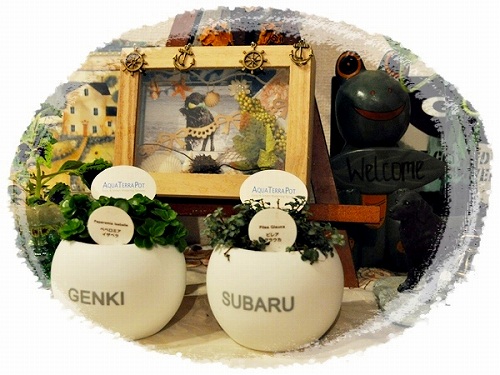 父  と 子_f0176499_03414198.jpg