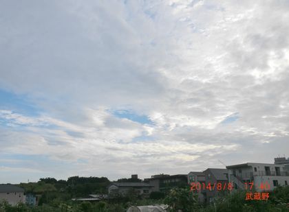 2014年8月8日（金）； 曇り＜＞小雨_d0051601_07514247.jpg